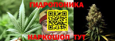 спиды Пугачёв